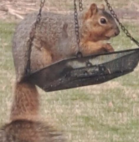 Meet your Posher, Mollie mcgary - Picture 1 of 1